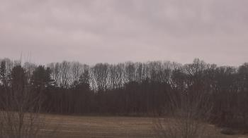 Weather camera view of Mary of Nazareth School.