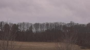 Weather camera view of Mary of Nazareth School.