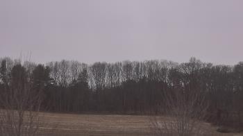 Weather camera view of Mary of Nazareth School.