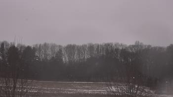 Weather camera view of Mary of Nazareth School.