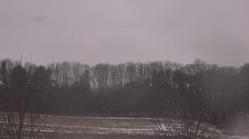 Weather camera view of Mary of Nazareth School.