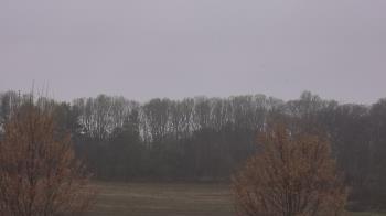 Weather camera view of Mary of Nazareth School.