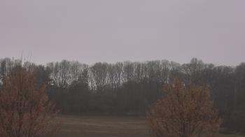 Weather camera view of Mary of Nazareth School.