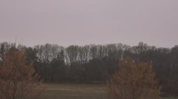 Weather camera view of Mary of Nazareth School.