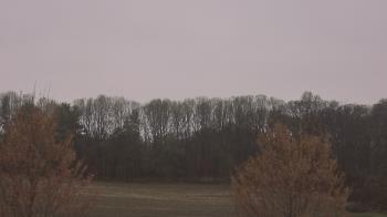 Weather camera view of Mary of Nazareth School.