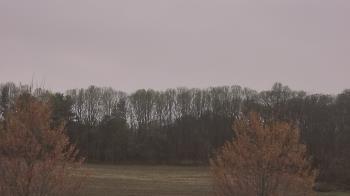 Weather camera view of Mary of Nazareth School.