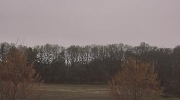 Weather camera view of Mary of Nazareth School.