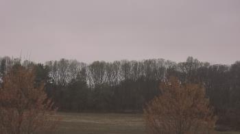 Weather camera view of Mary of Nazareth School.