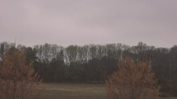 Weather camera view of Mary of Nazareth School.