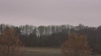 Weather camera view of Mary of Nazareth School.