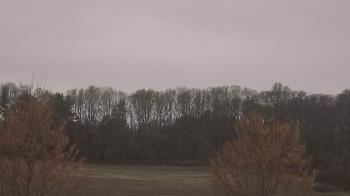 Weather camera view of Mary of Nazareth School.