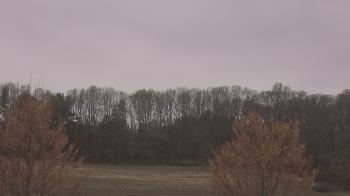 Weather camera view of Mary of Nazareth School.