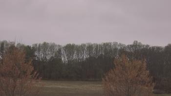 Weather camera view of Mary of Nazareth School.