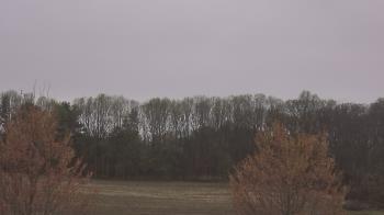 Weather camera view of Mary of Nazareth School.