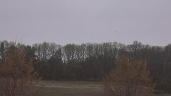 Weather camera view of Mary of Nazareth School.