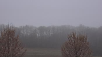 Weather camera view of Mary of Nazareth School.