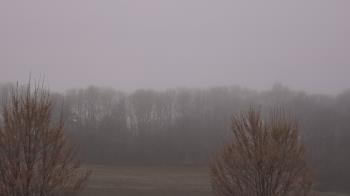 Weather camera view of Mary of Nazareth School.