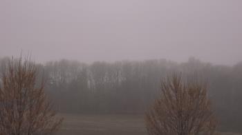 Weather camera view of Mary of Nazareth School.