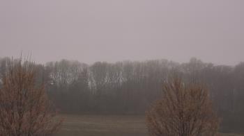 Weather camera view of Mary of Nazareth School.