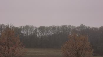 Weather camera view of Mary of Nazareth School.