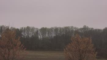 Weather camera view of Mary of Nazareth School.