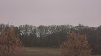 Weather camera view of Mary of Nazareth School.