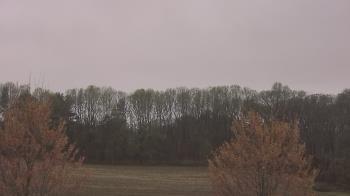 Weather camera view of Mary of Nazareth School.