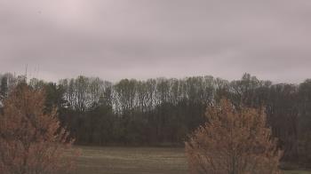 Weather camera view of Mary of Nazareth School.