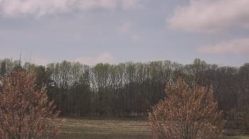 Weather camera view of Mary of Nazareth School.