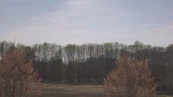 Weather camera view of Mary of Nazareth School.