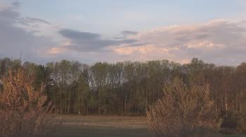 Weather camera view of Mary of Nazareth School.