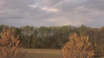 Weather camera view of Mary of Nazareth School.