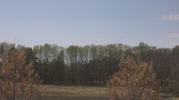 Weather camera view of Mary of Nazareth School.