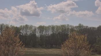 Weather camera view of Mary of Nazareth School.