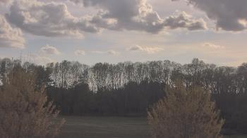 Weather camera view of Mary of Nazareth School.