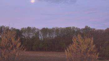 Weather camera view of Mary of Nazareth School.