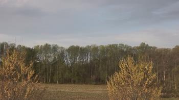 Weather camera view of Mary of Nazareth School.