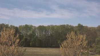 Weather camera view of Mary of Nazareth School.
