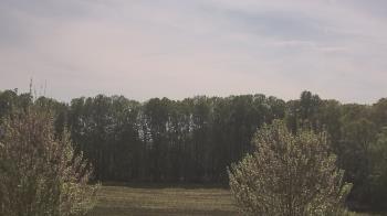 Weather camera view of Mary of Nazareth School.