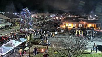 Weather camera view of Erwin Town Hall.