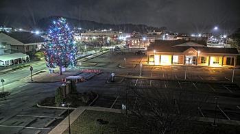 Weather camera view of Erwin Town Hall.