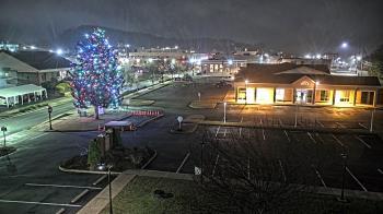 Weather camera view of Erwin Town Hall.