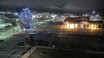 Weather camera view of Erwin Town Hall.