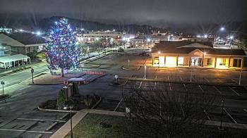 Weather camera view of Erwin Town Hall.