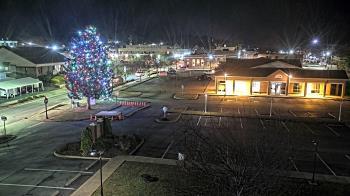 Weather camera view of Erwin Town Hall.