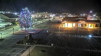 Weather camera view of Erwin Town Hall.
