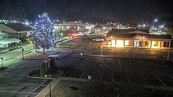 Weather camera view of Erwin Town Hall.