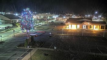 Weather camera view of Erwin Town Hall.