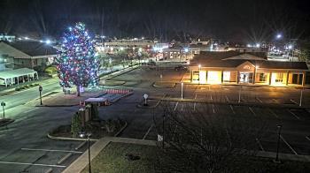Weather camera view of Erwin Town Hall.