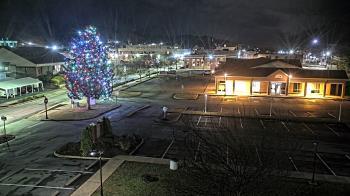 Weather camera view of Erwin Town Hall.